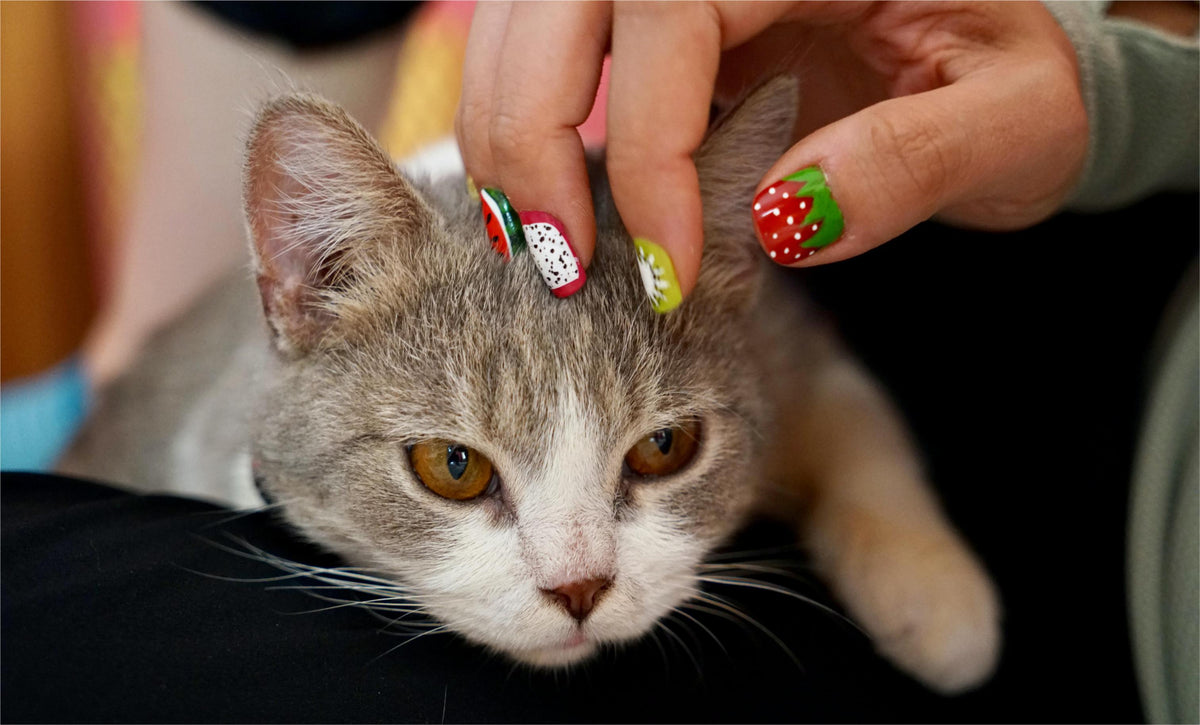 Come and Get the Latest Nail Art Inspiration!