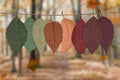 Come and Get Your Autumn Nail Art Strategy